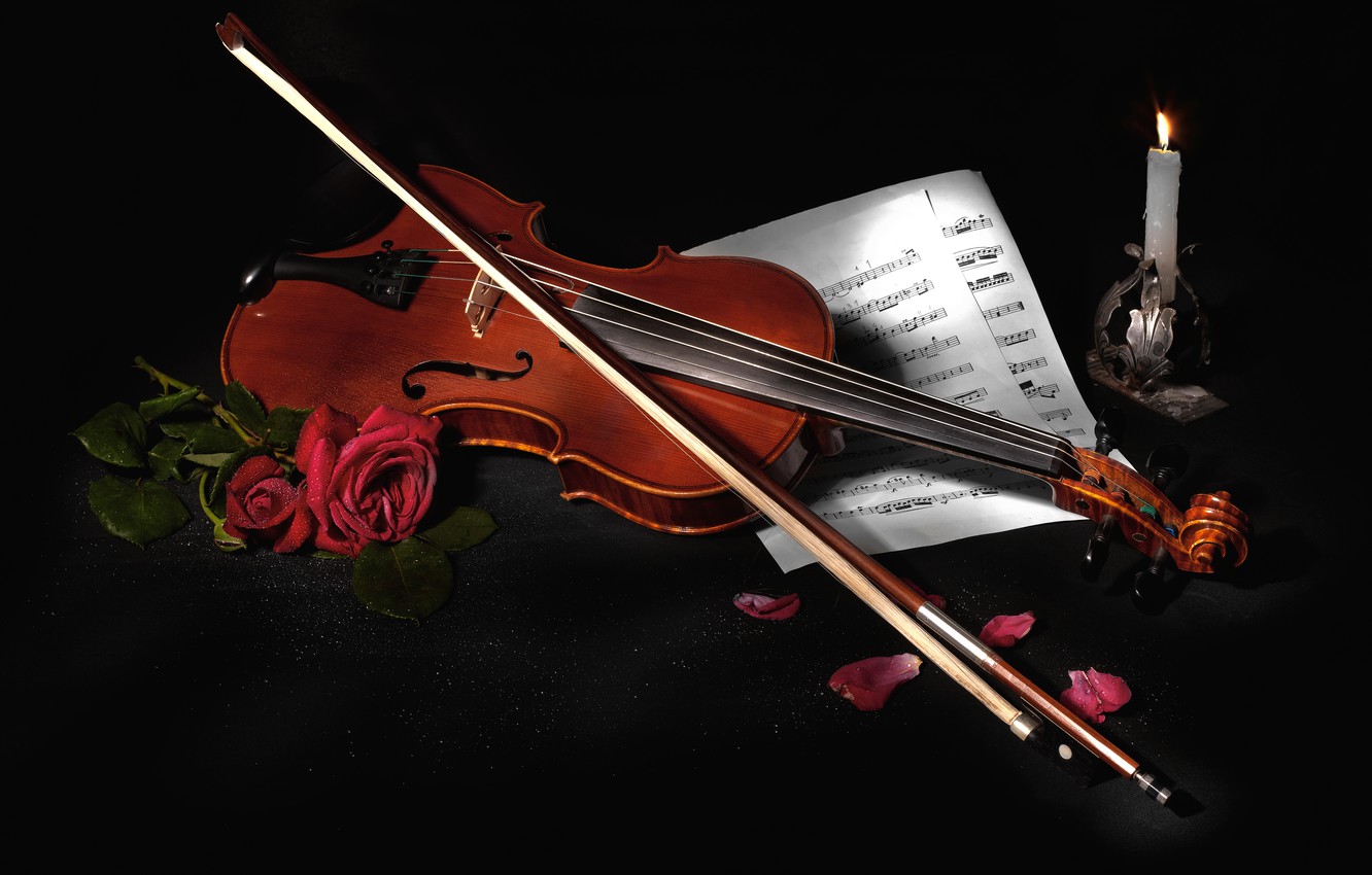 Violin With Flowers Wallpapers