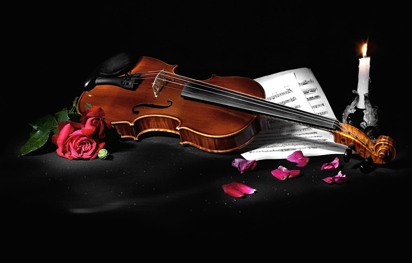 Violin With Flowers Wallpapers