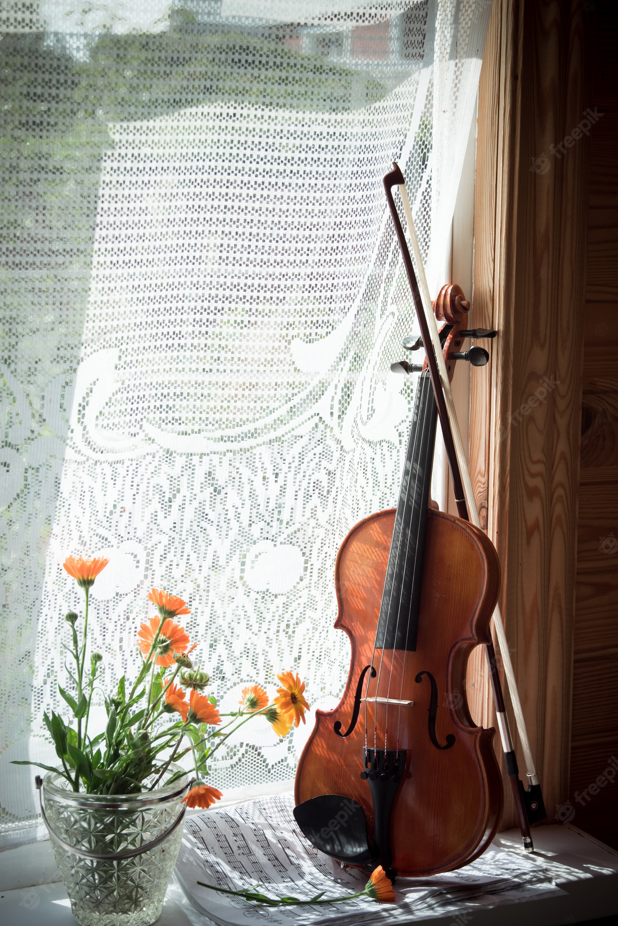 Violin With Flowers Wallpapers