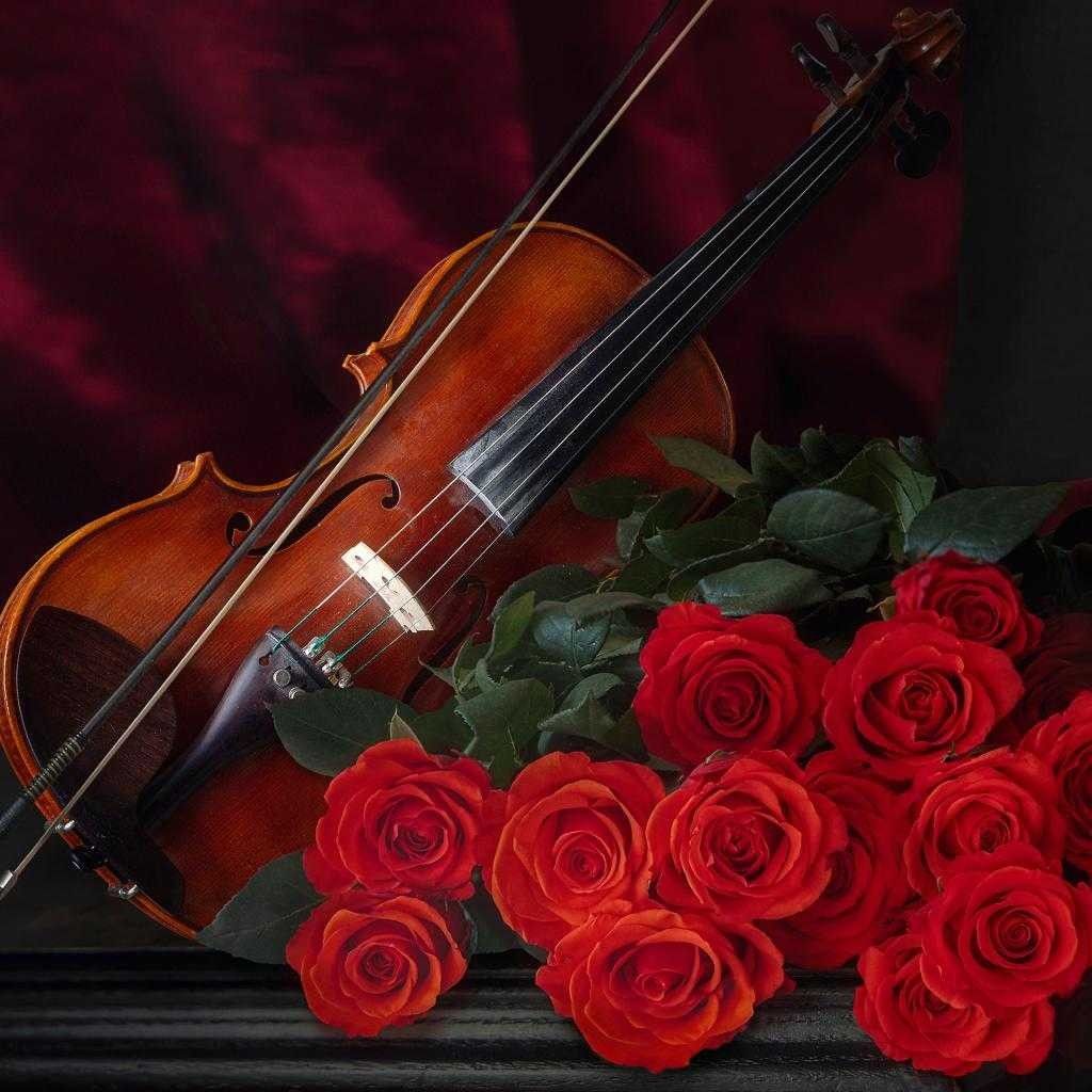 Violin With Flowers Wallpapers