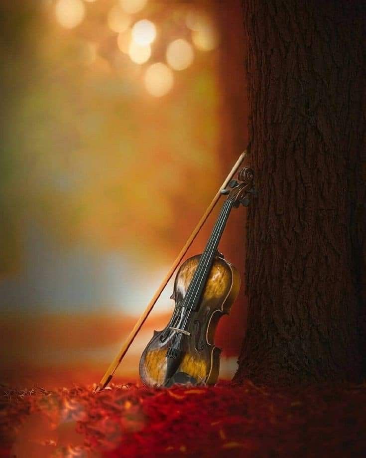 Violin With Flowers Wallpapers