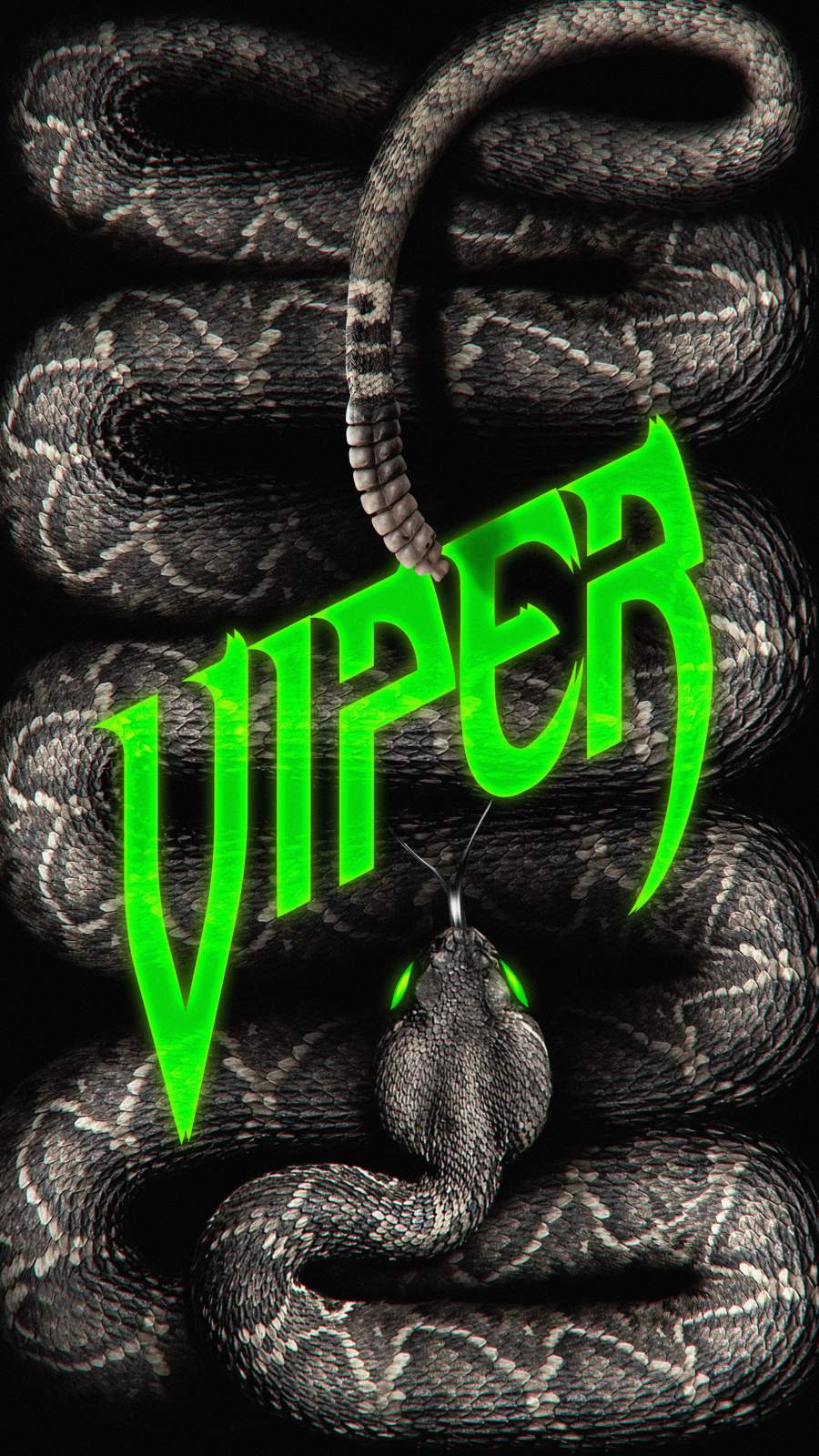 Viper Snake Wallpapers