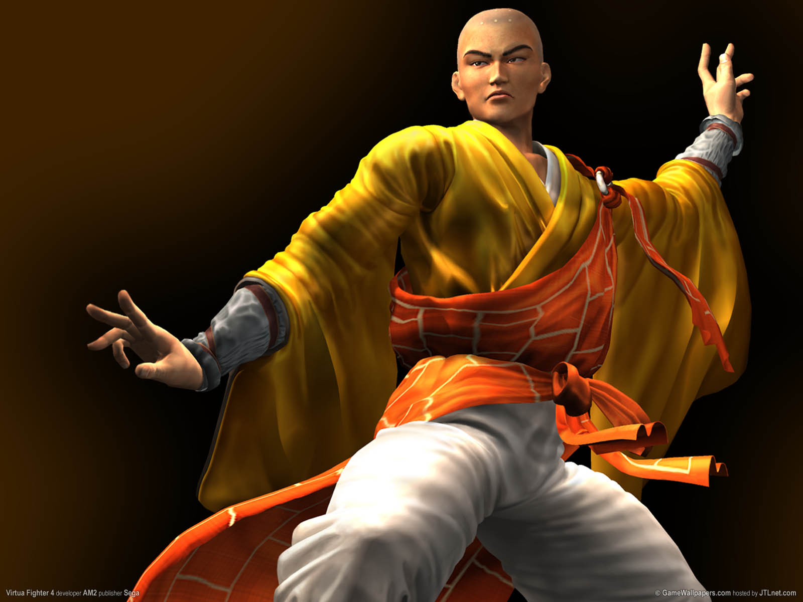 Virtua Fighter 4 Wallpapers