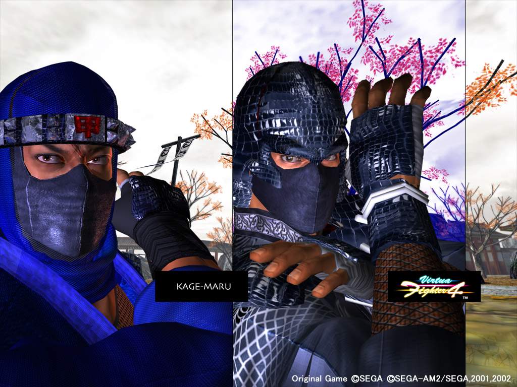 Virtua Fighter 4 Wallpapers