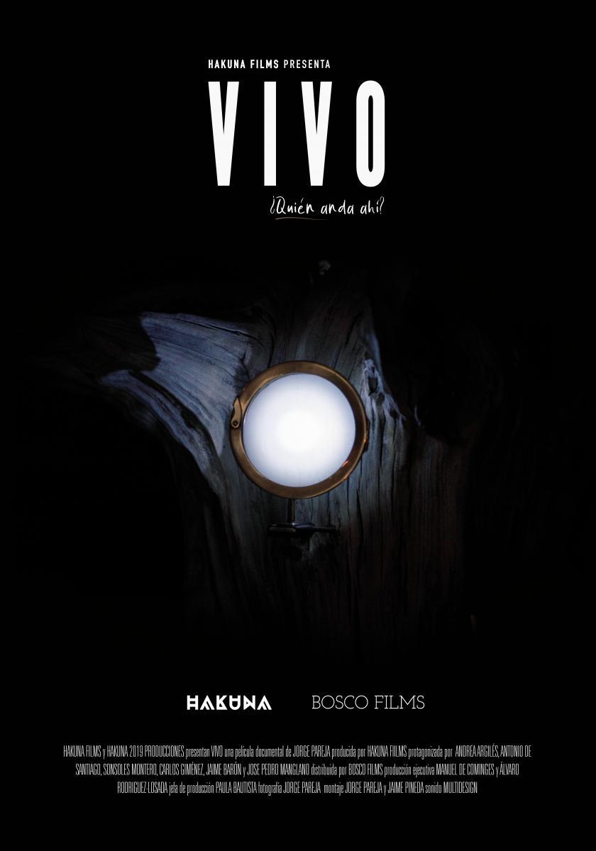 Vivo 2021 Movie Wallpapers