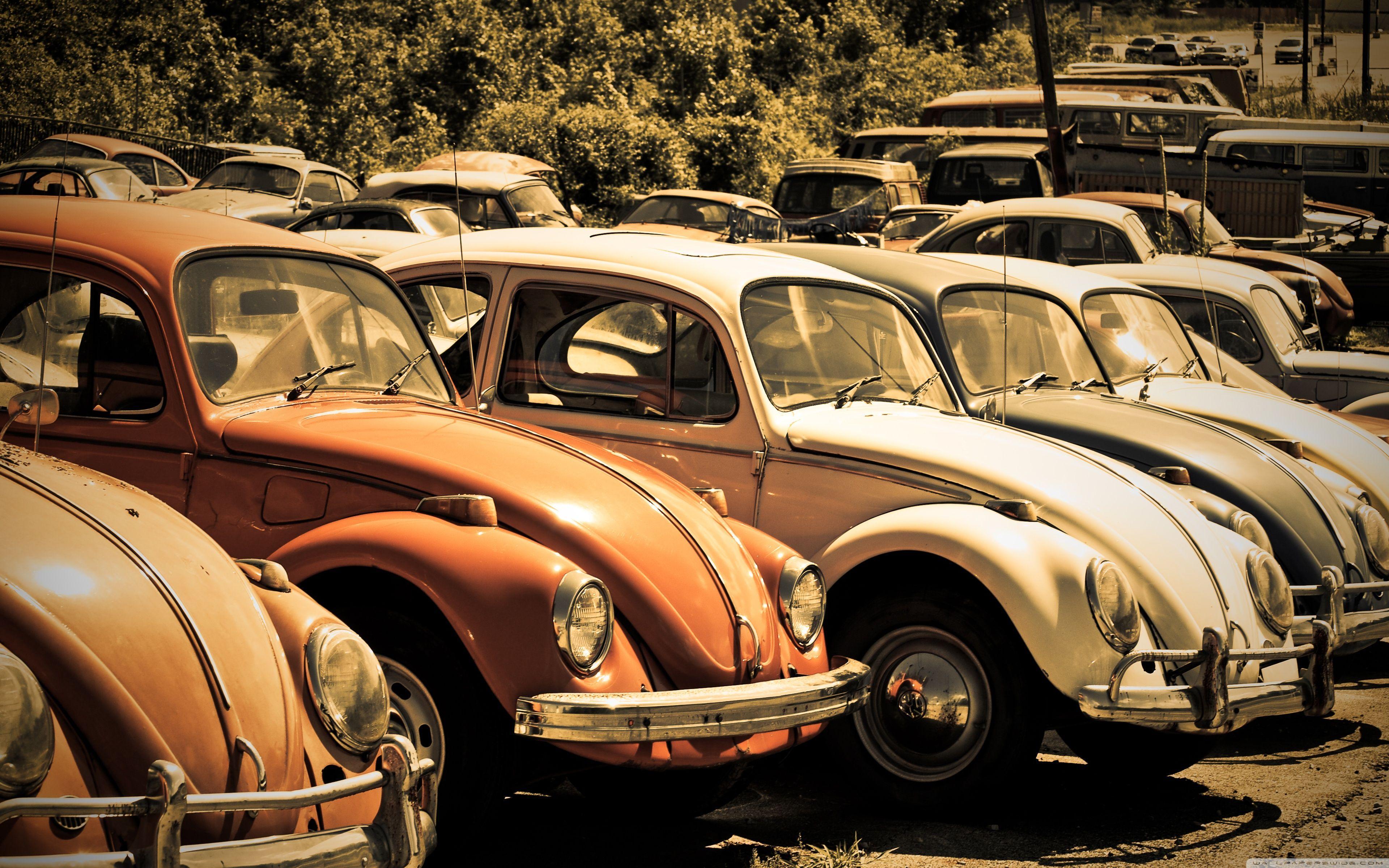 Volkswagen Beetle Wallpapers