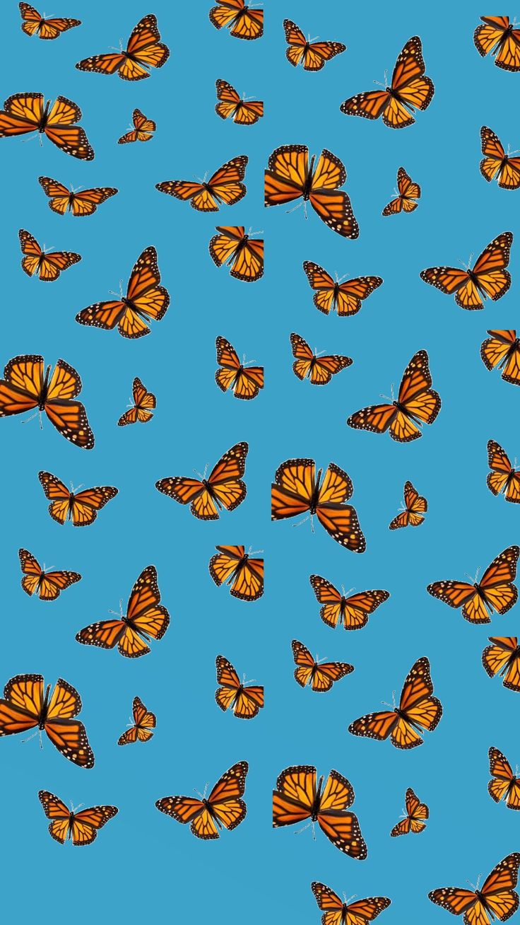 Vsco Butterfly Painting Wallpapers