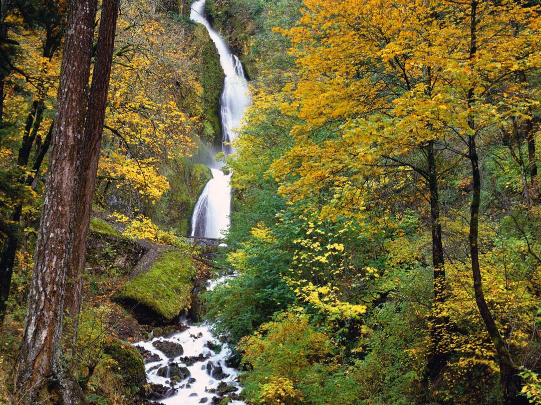 Wahkeena Falls Wallpapers