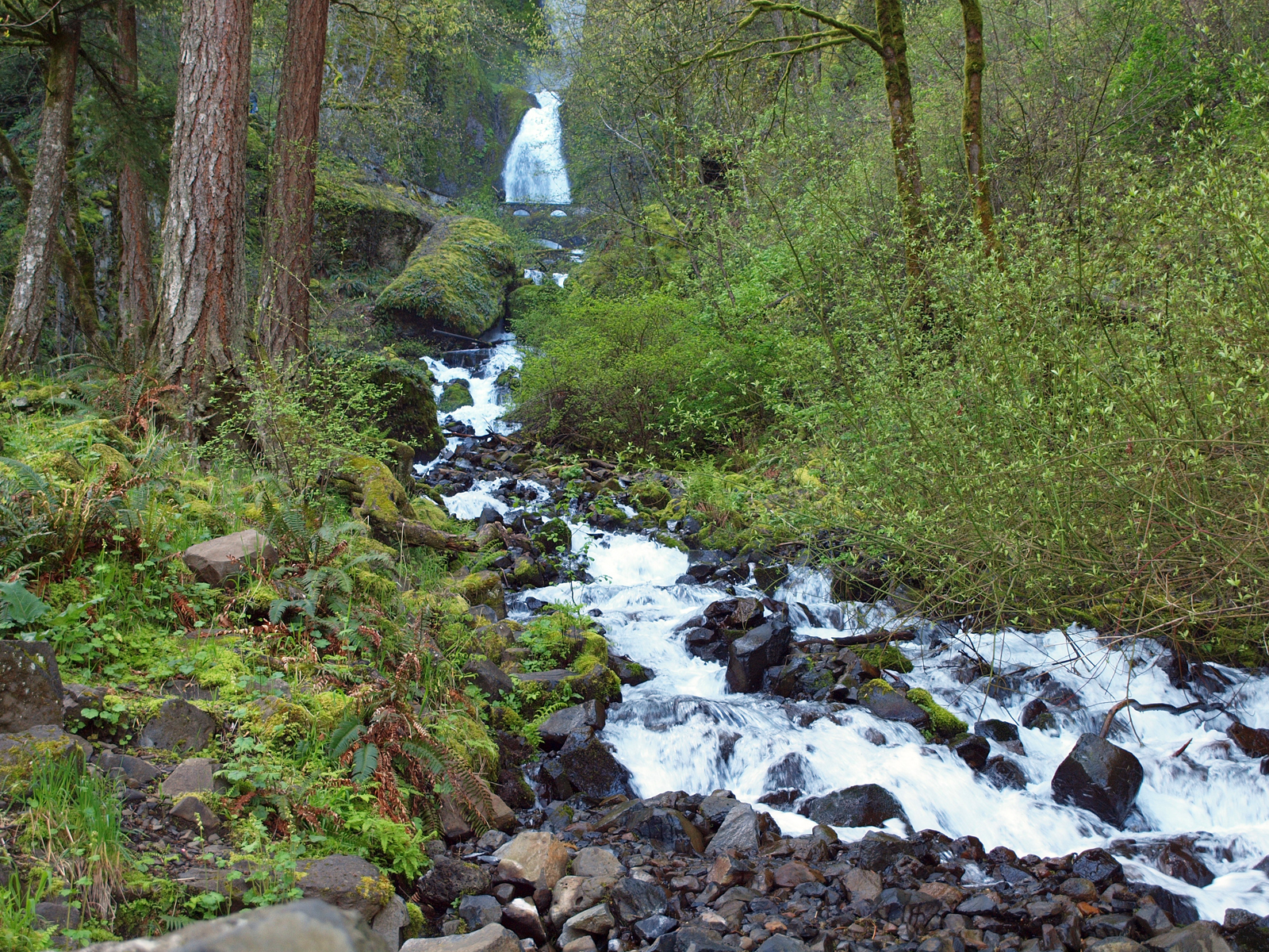 Wahkeena Falls Wallpapers