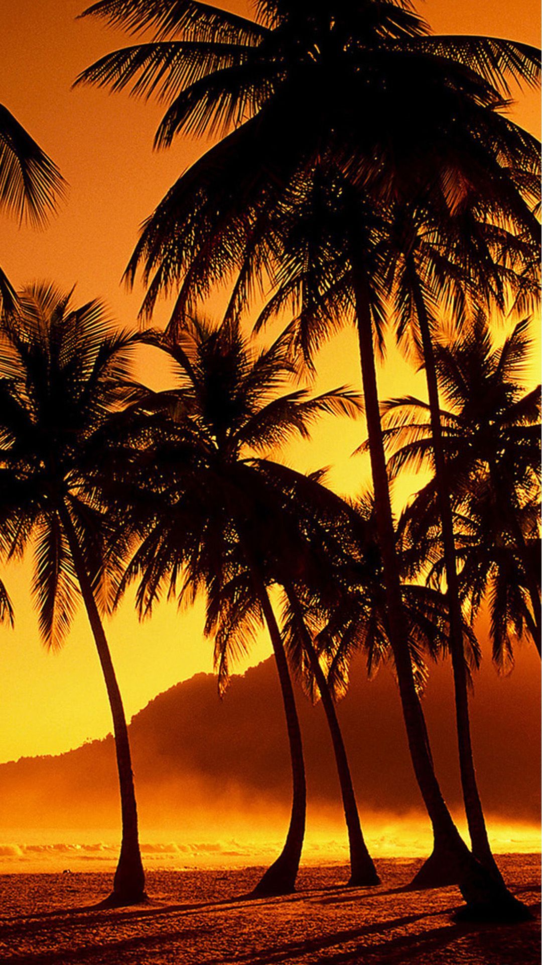 Waikiki Beach Sunset Wallpapers