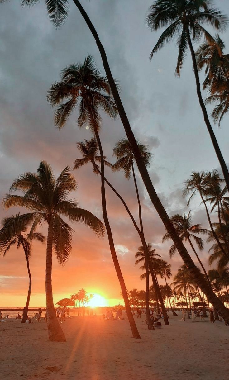 Waikiki Beach Sunset Wallpapers