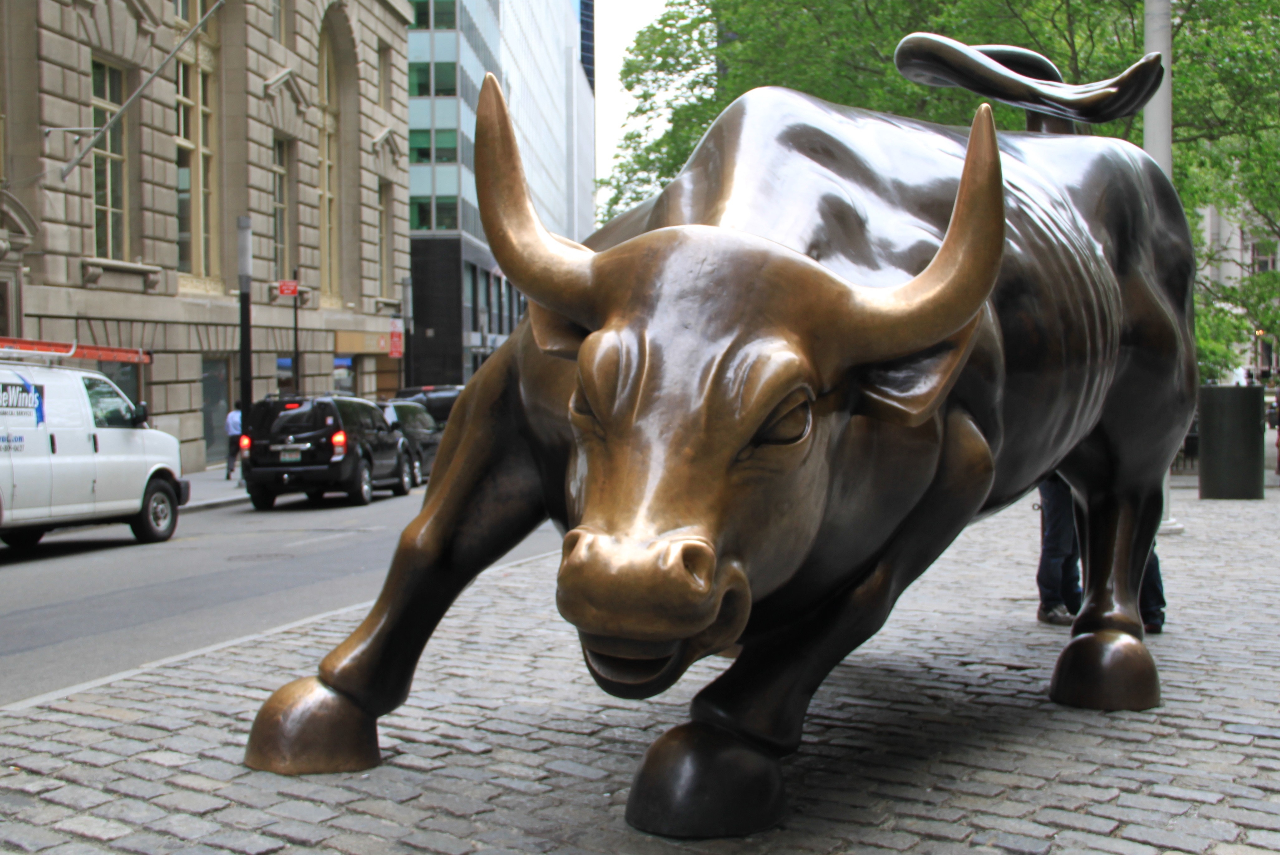 Wall Street Bull Wallpapers