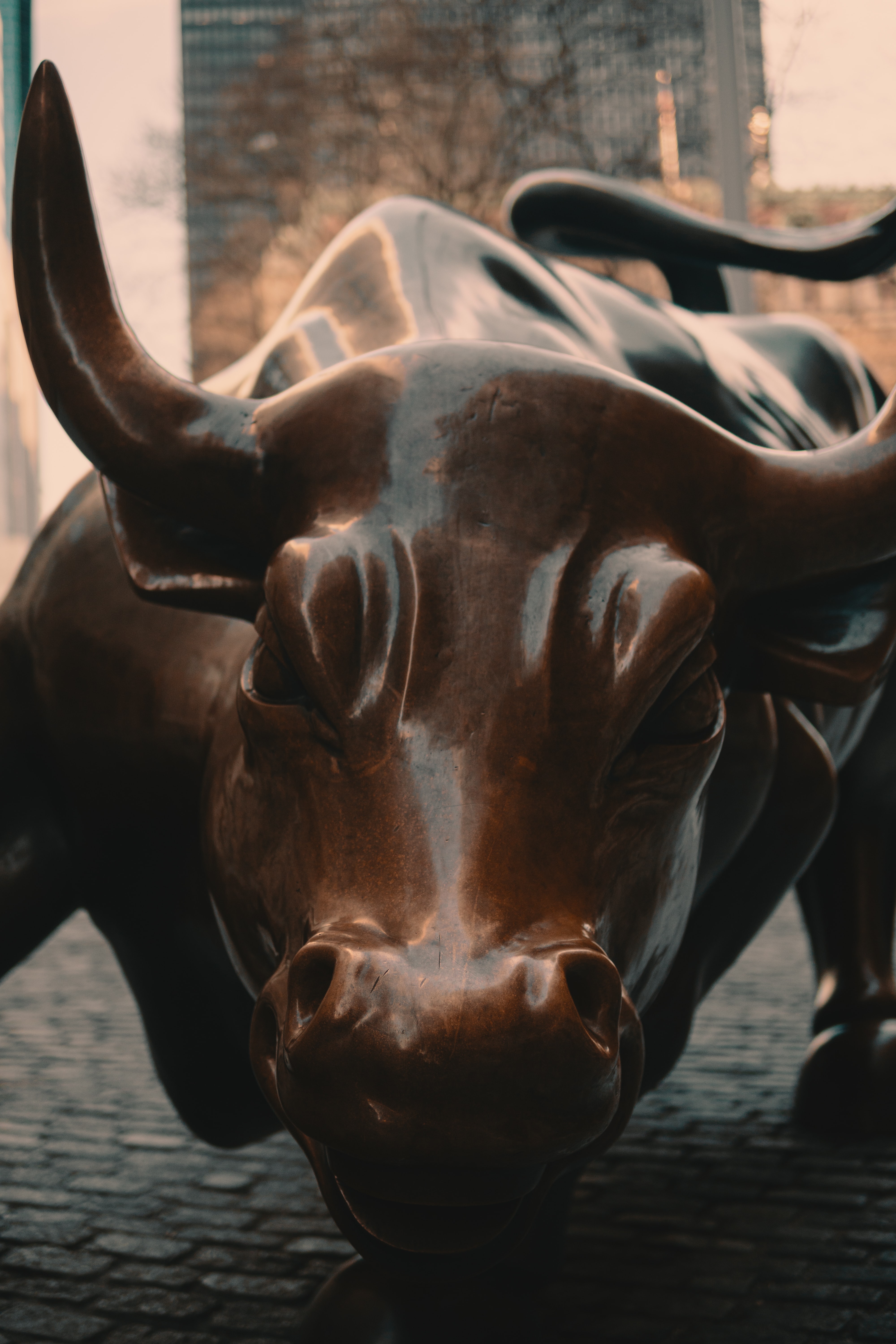 Wall Street Bull Wallpapers