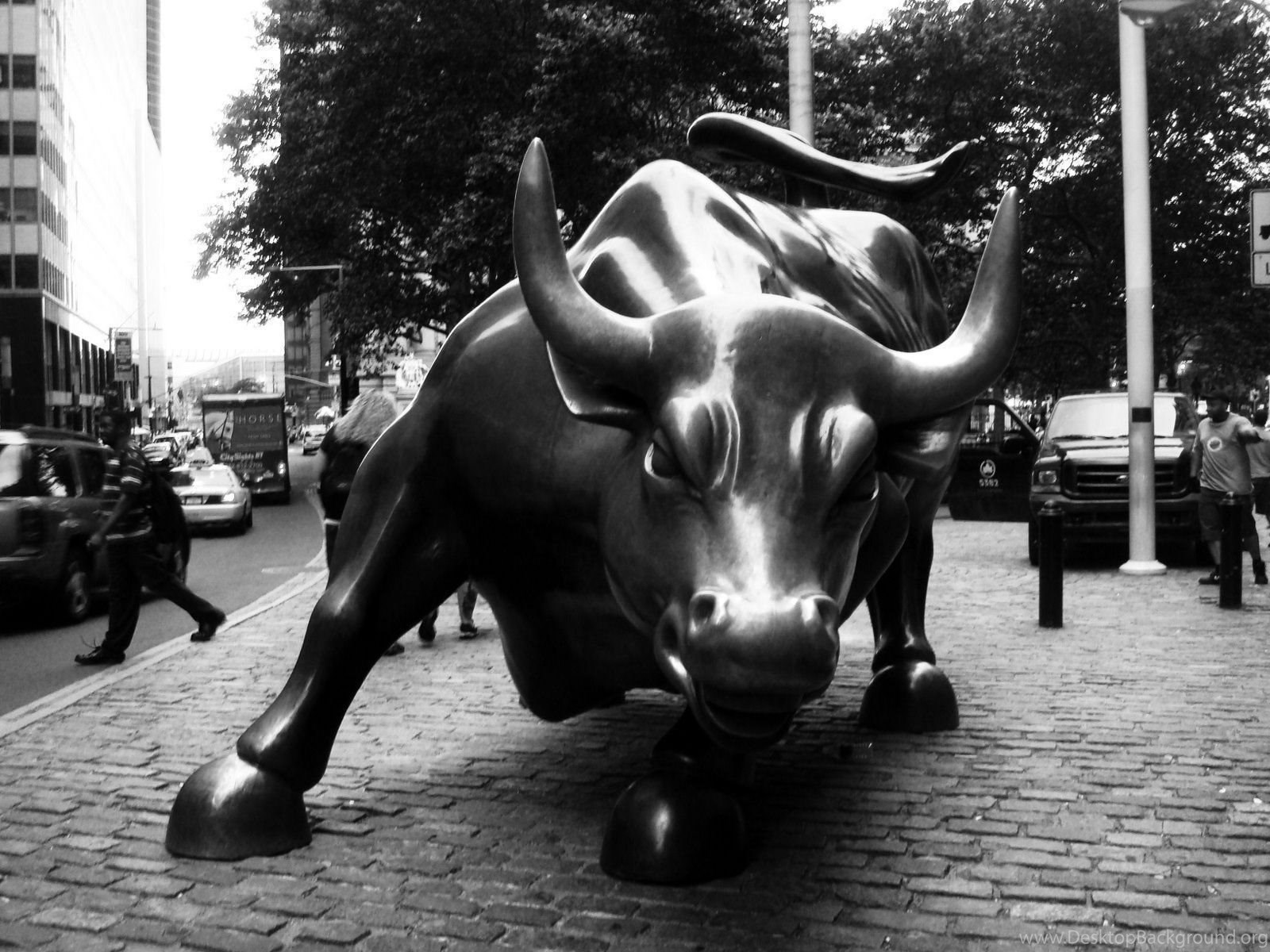 Wall Street Bull Wallpapers