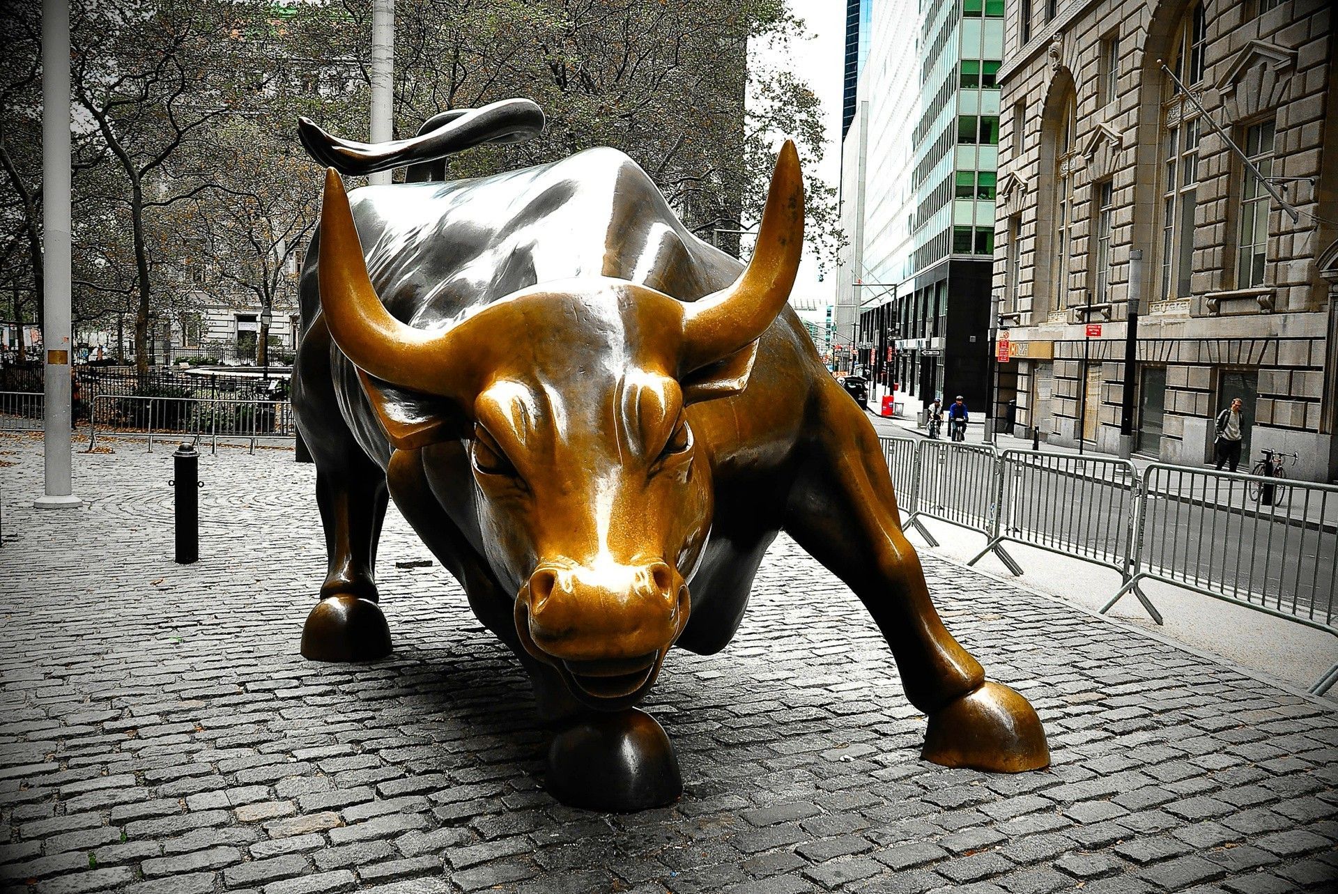 Wall Street Bull Wallpapers