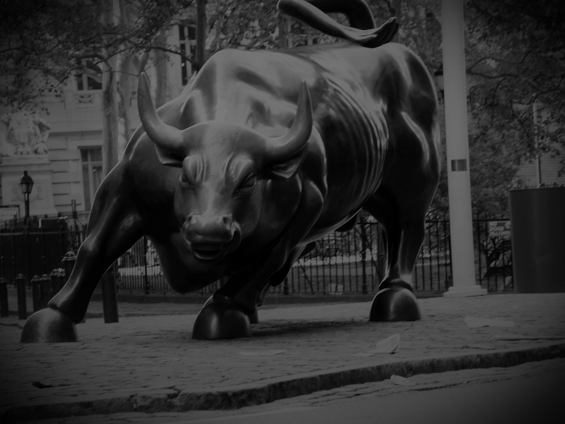 Wall Street Bull Wallpapers