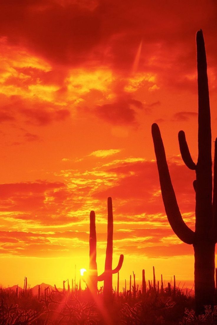 Wallpaper Arizona Wallpapers