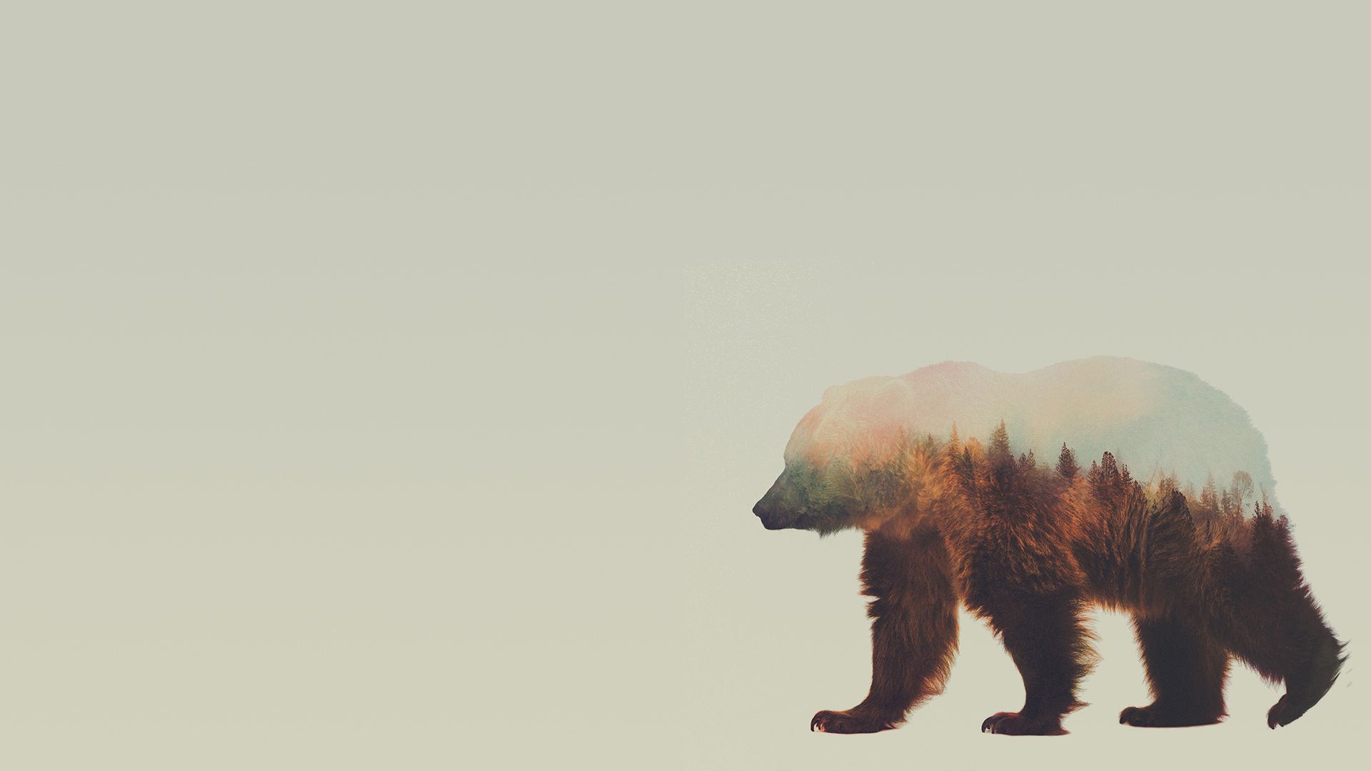 Wallpaper Art Bear Wallpapers