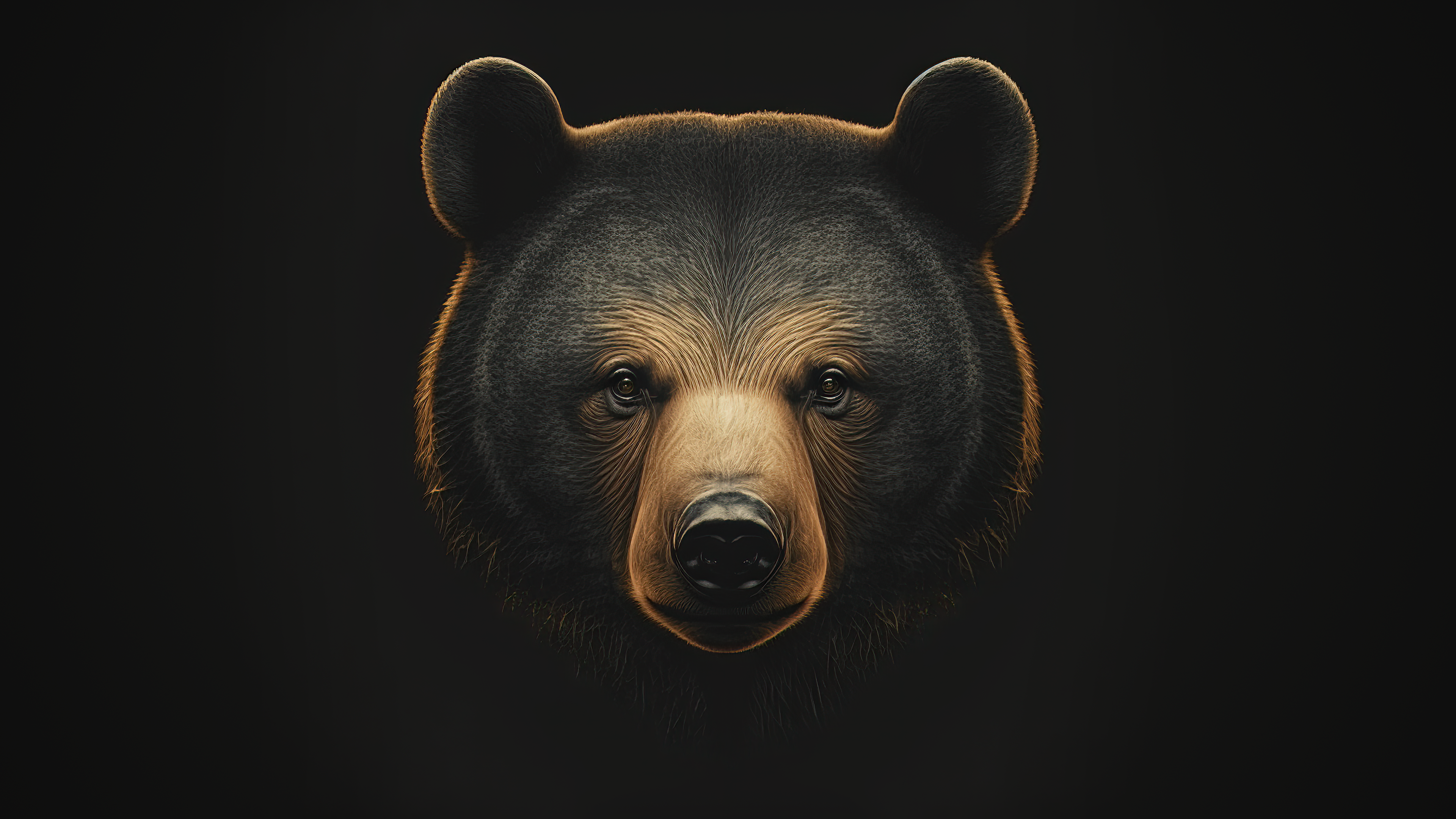 Wallpaper Art Bear Wallpapers