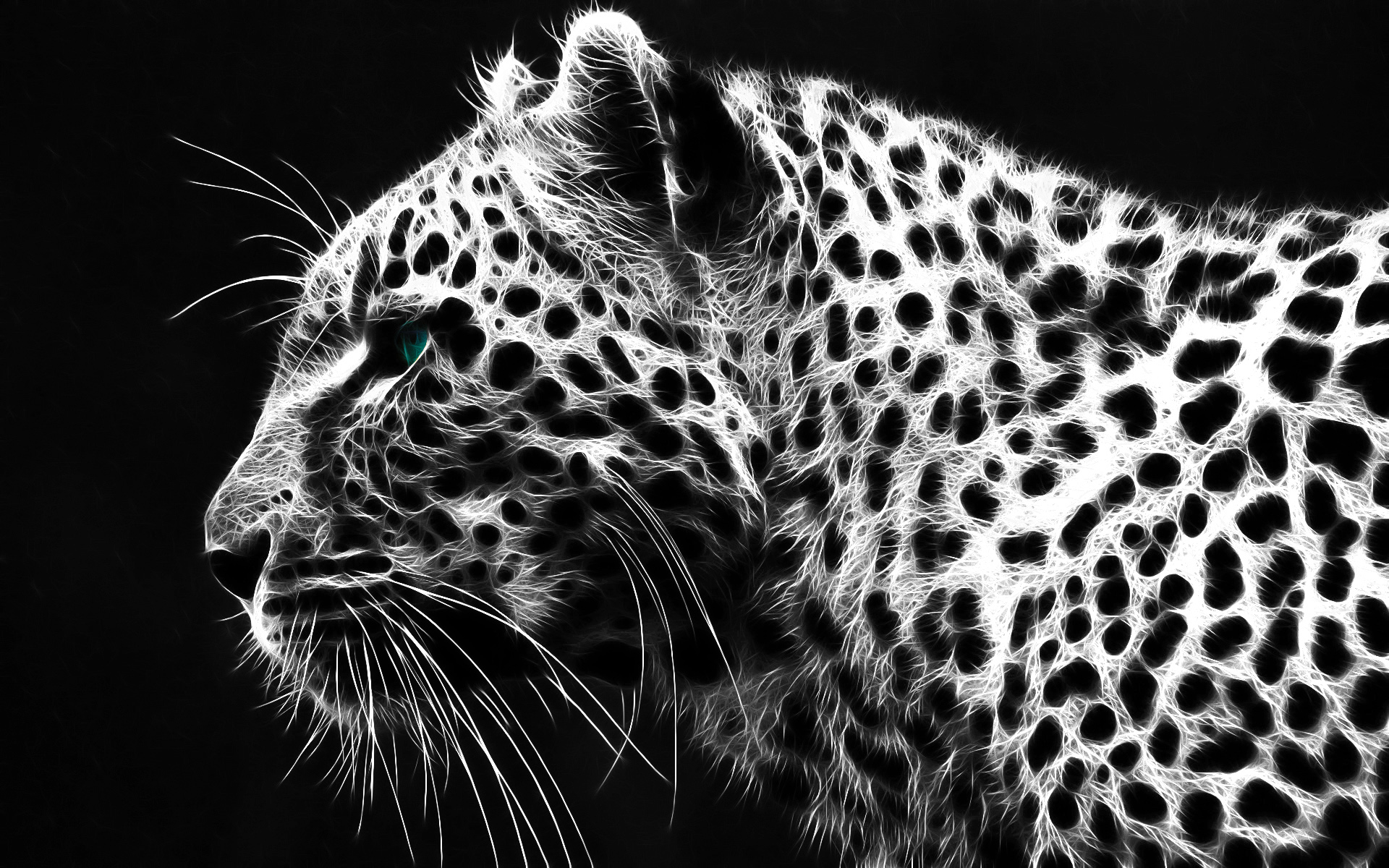 Wallpaper Black And White Cheetah Print Wallpapers