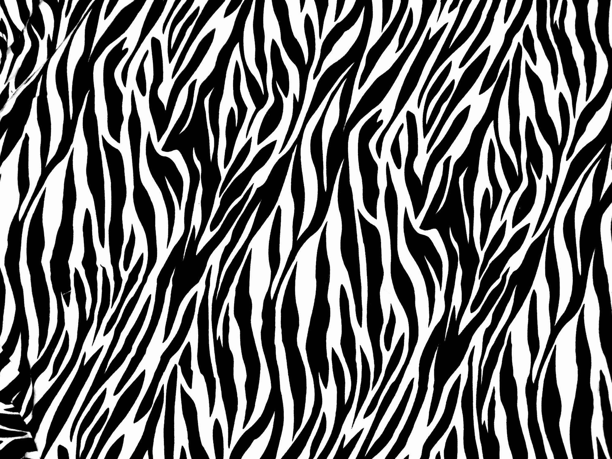 Wallpaper Black And White Cheetah Print Wallpapers