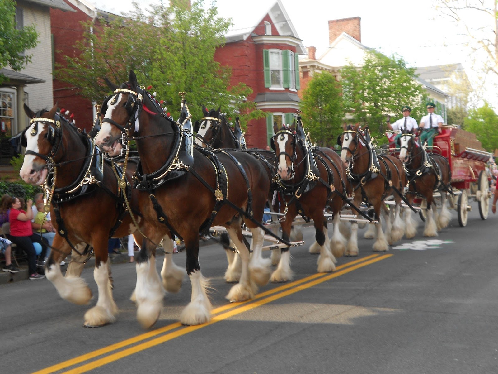 Wallpaper Budweiser Clydesdales Wallpapers