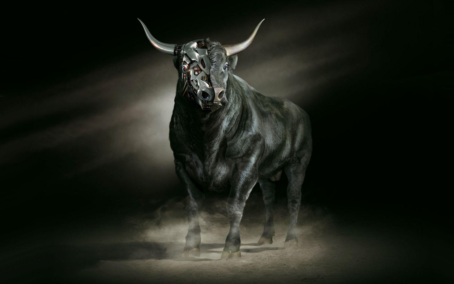 Wallpaper Bull Wallpapers