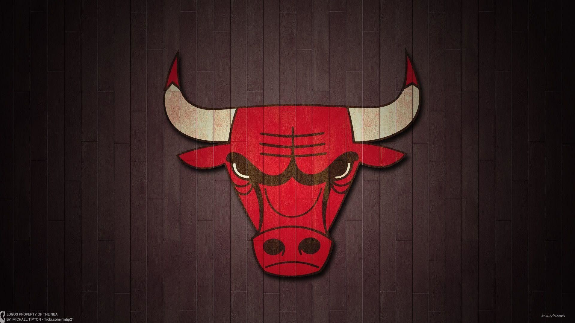 Wallpaper Bull Wallpapers