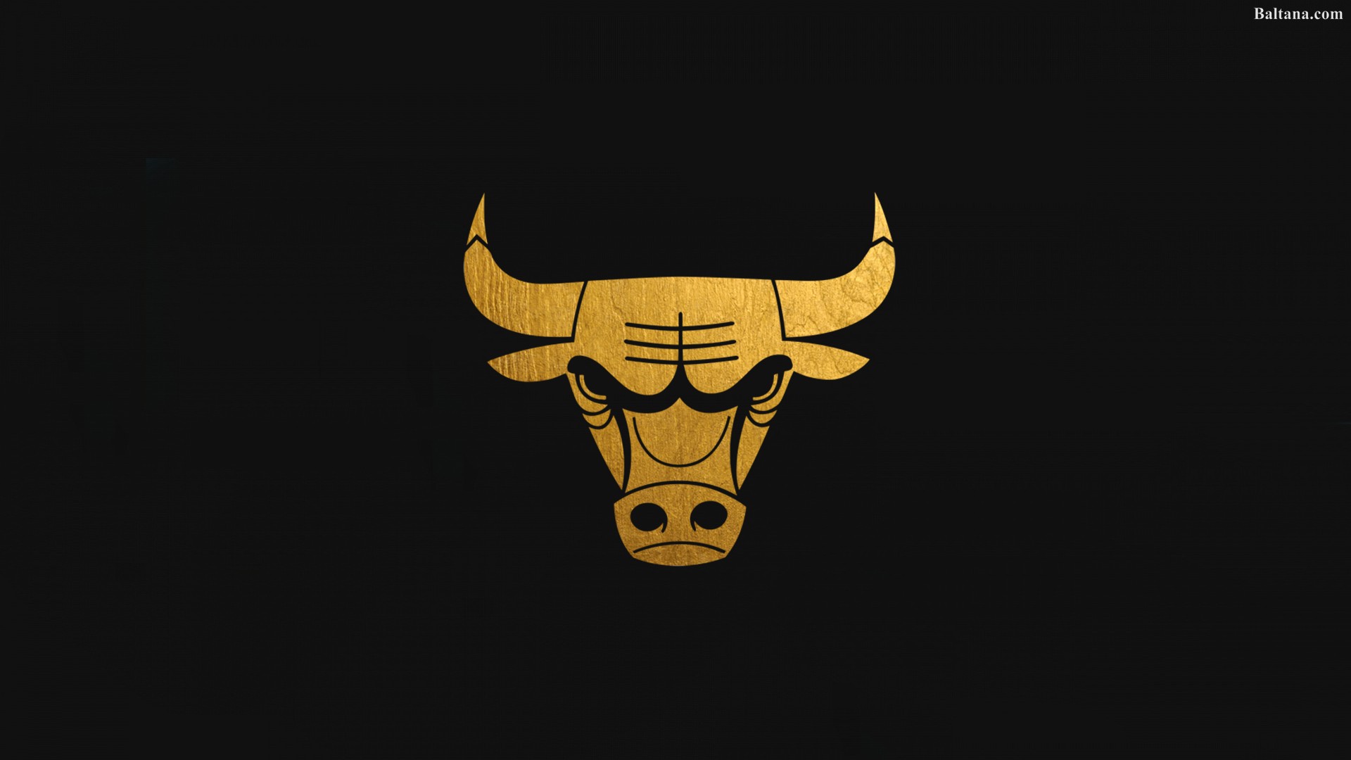 Wallpaper Bull Wallpapers