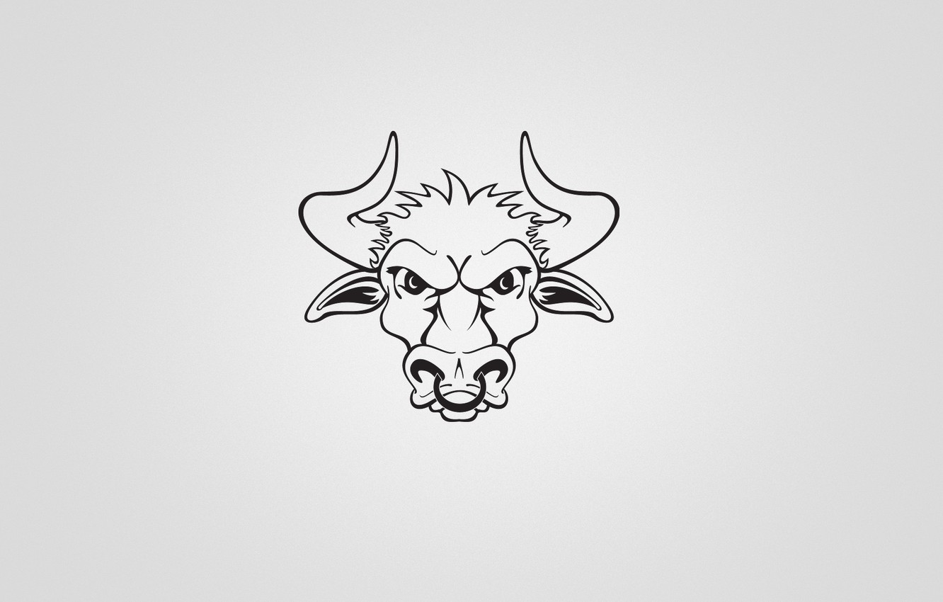 Wallpaper Bull Wallpapers