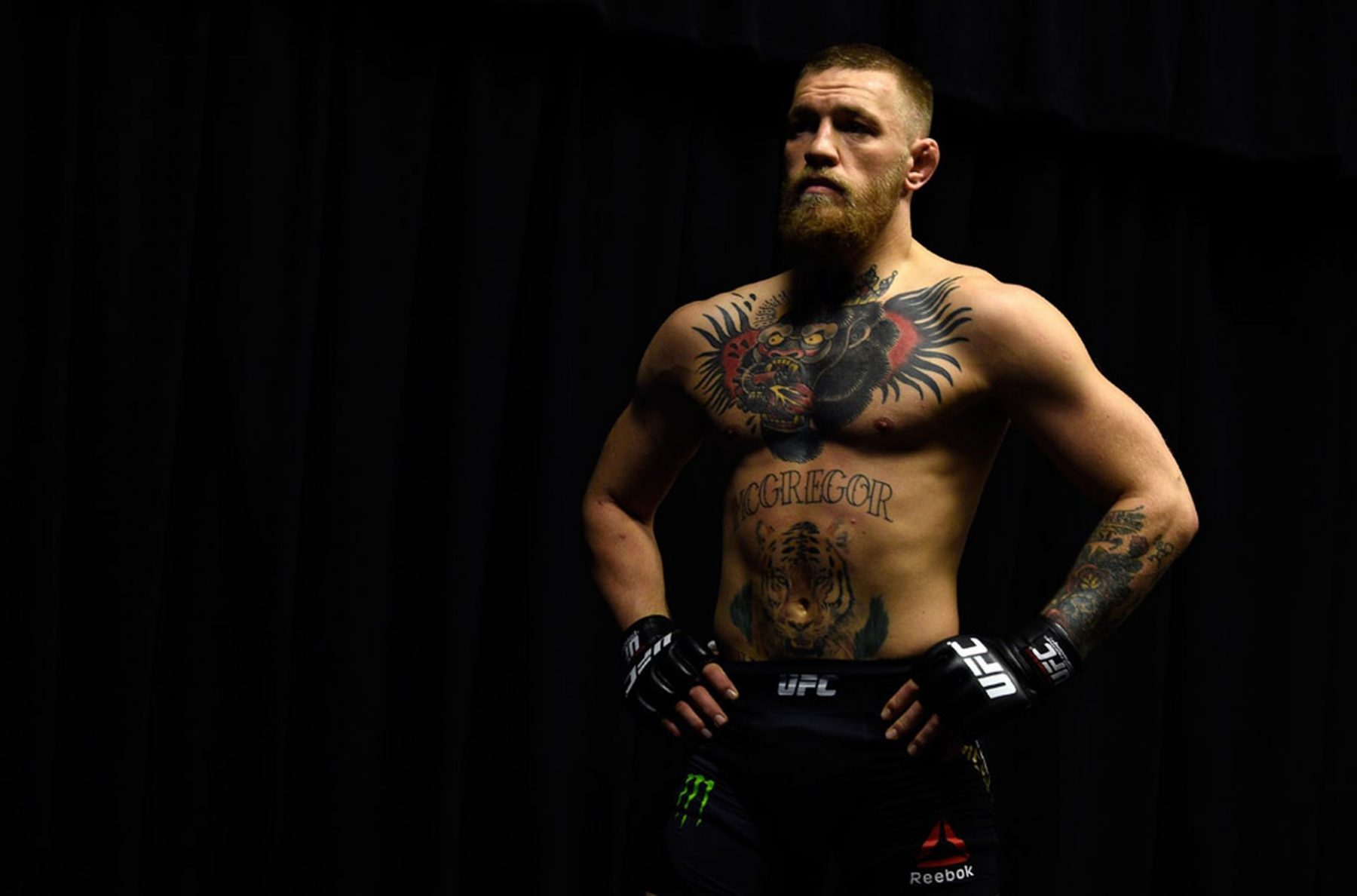 Wallpaper Conor Mcgregor Wallpapers