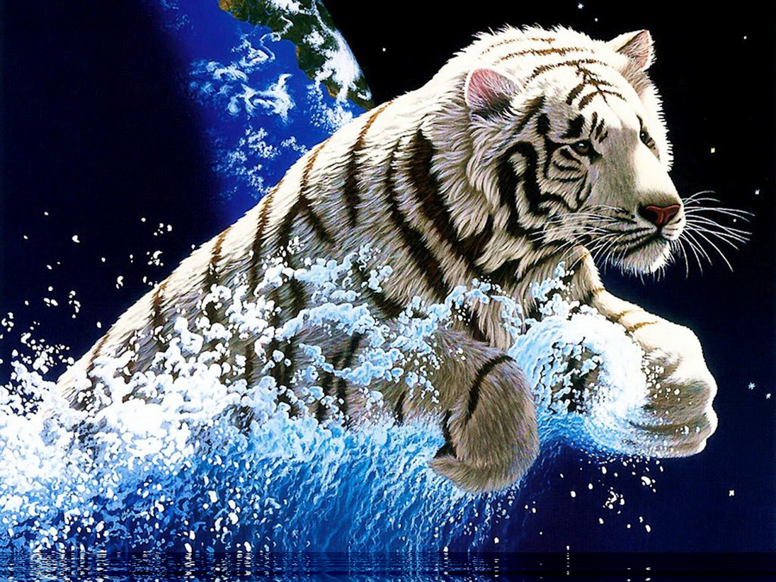 Wallpaper Cool Tigers Wallpapers