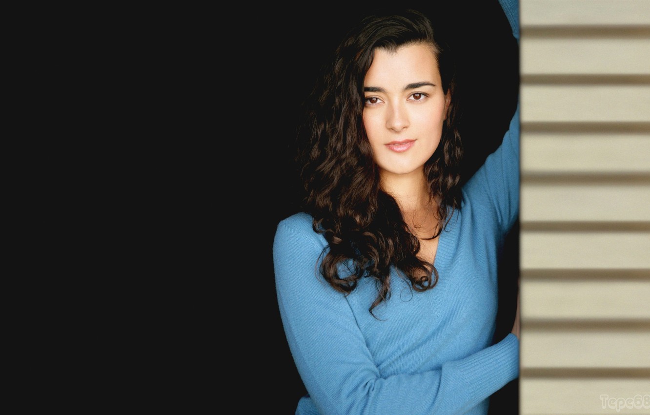 Wallpaper Cote De Pablo Wallpapers