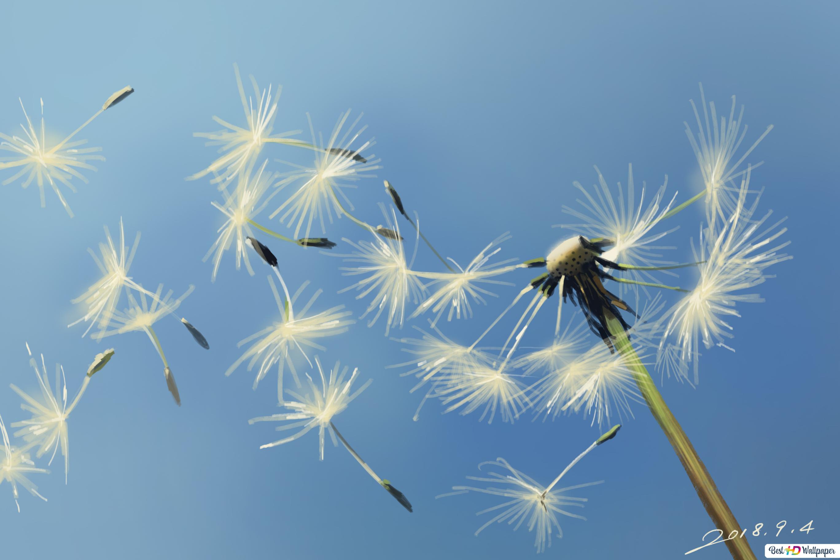 Wallpaper Dandelion Flower Wallpapers