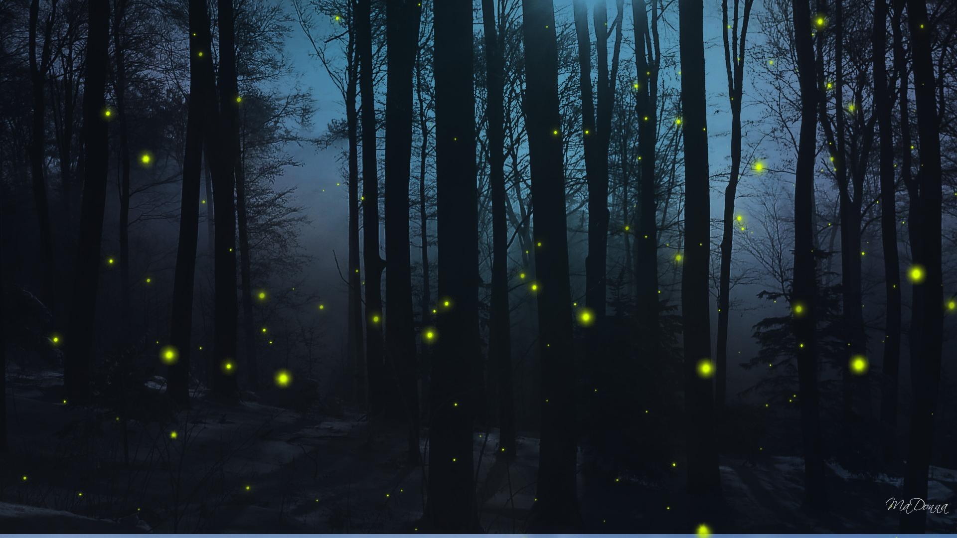 Wallpaper Fireflies Wallpapers