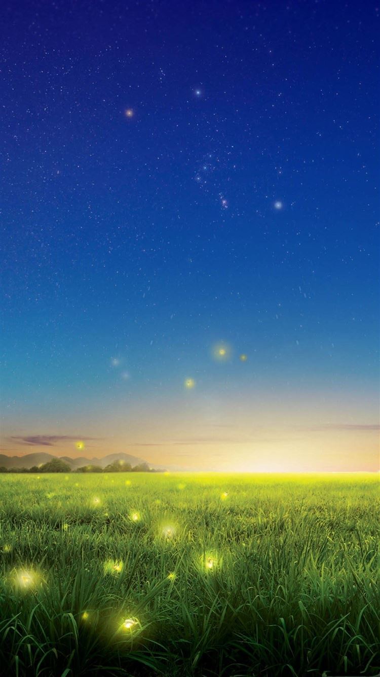 Wallpaper Fireflies Wallpapers