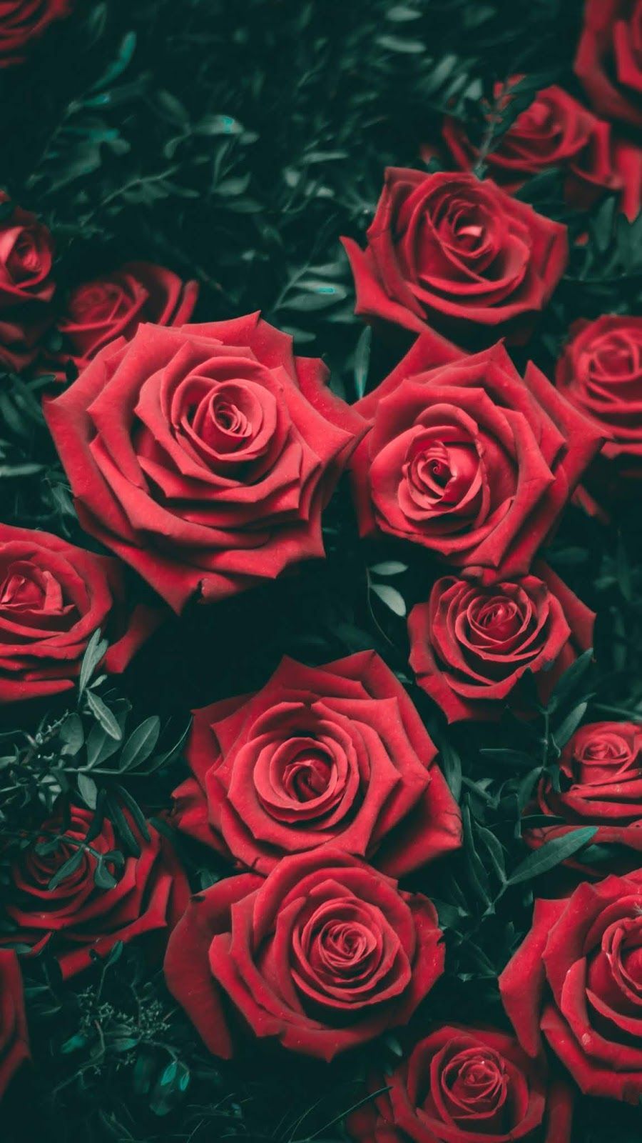 Wallpaper For Phone Flowers Wallpapers