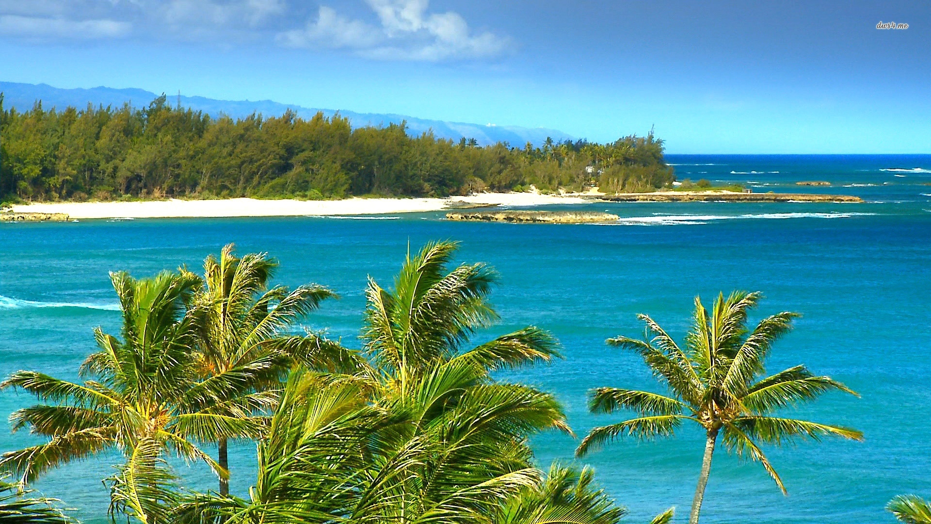 Wallpaper Hawaii Beach Wallpapers