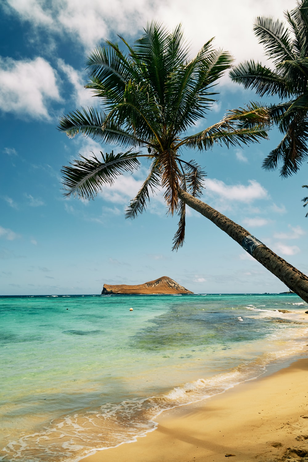 Wallpaper Hawaii Beach Wallpapers