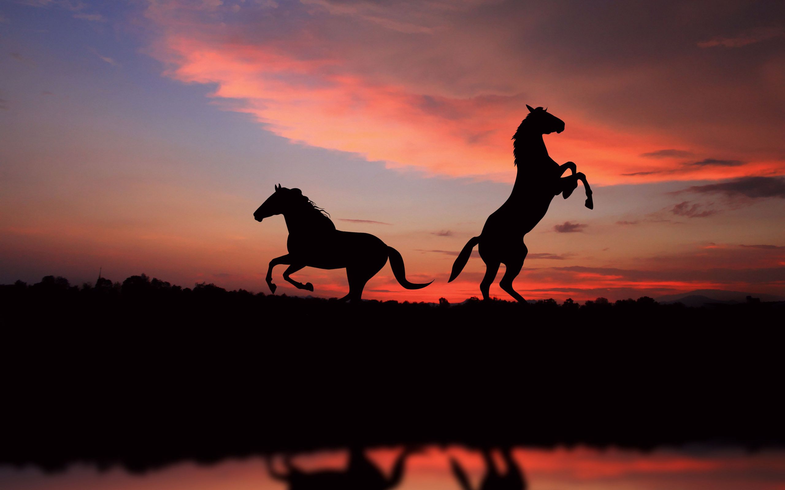 Wallpaper Horse Sunset Wallpapers