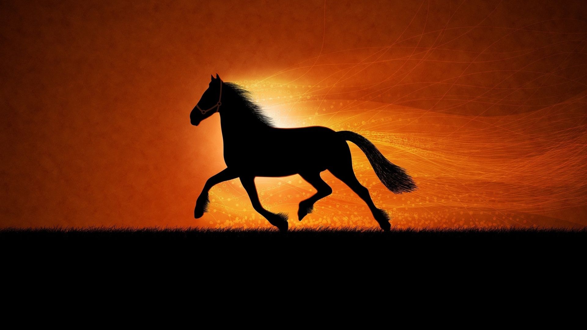 Wallpaper Horse Sunset Wallpapers