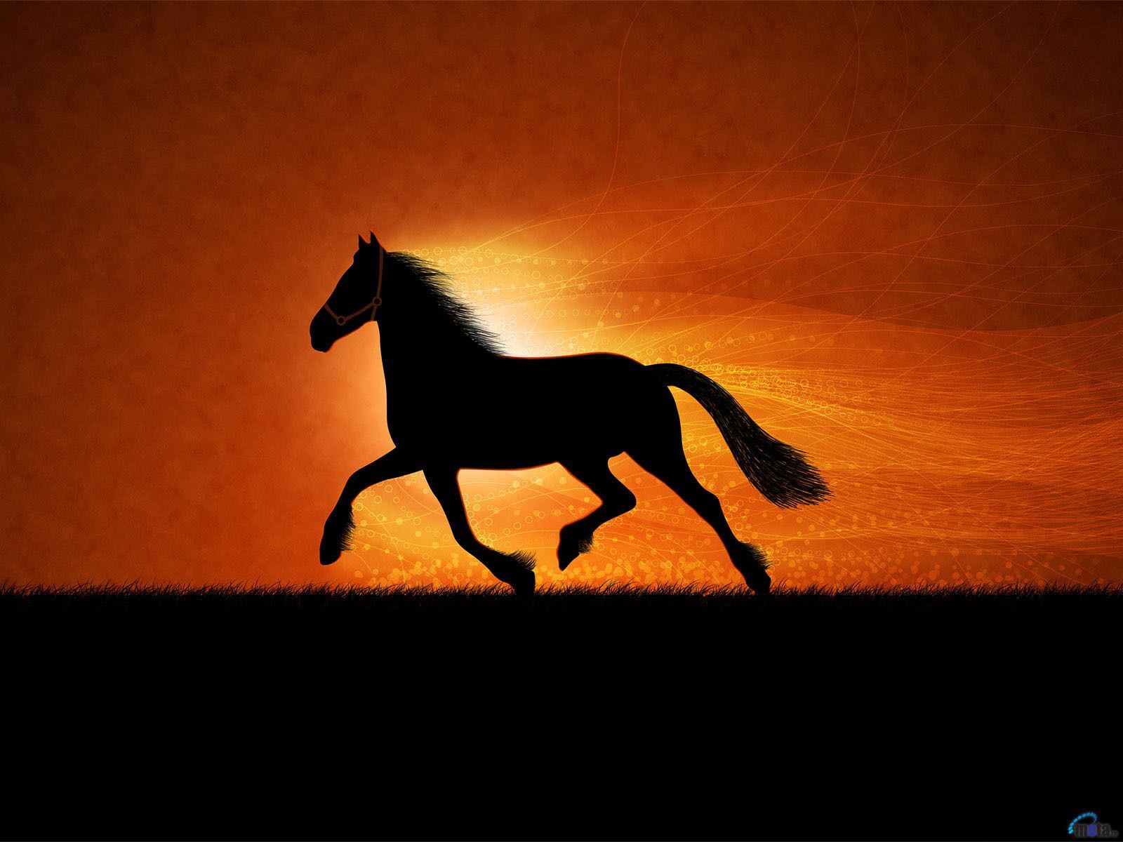 Wallpaper Horse Wallpapers