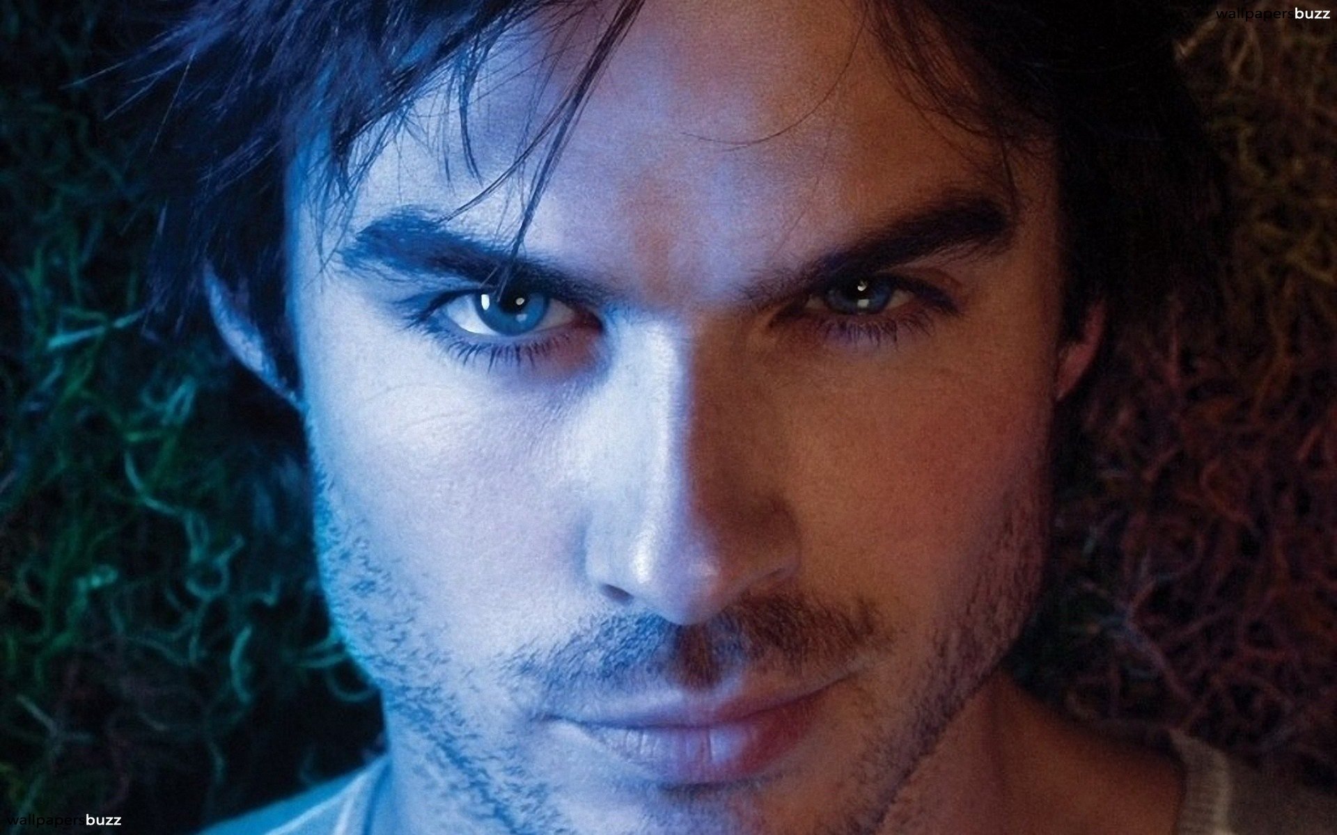 Wallpaper Ian Somerhalder Wallpapers