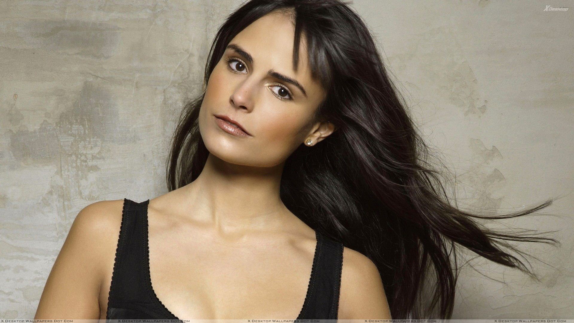 Wallpaper Jordana Brewster Wallpapers