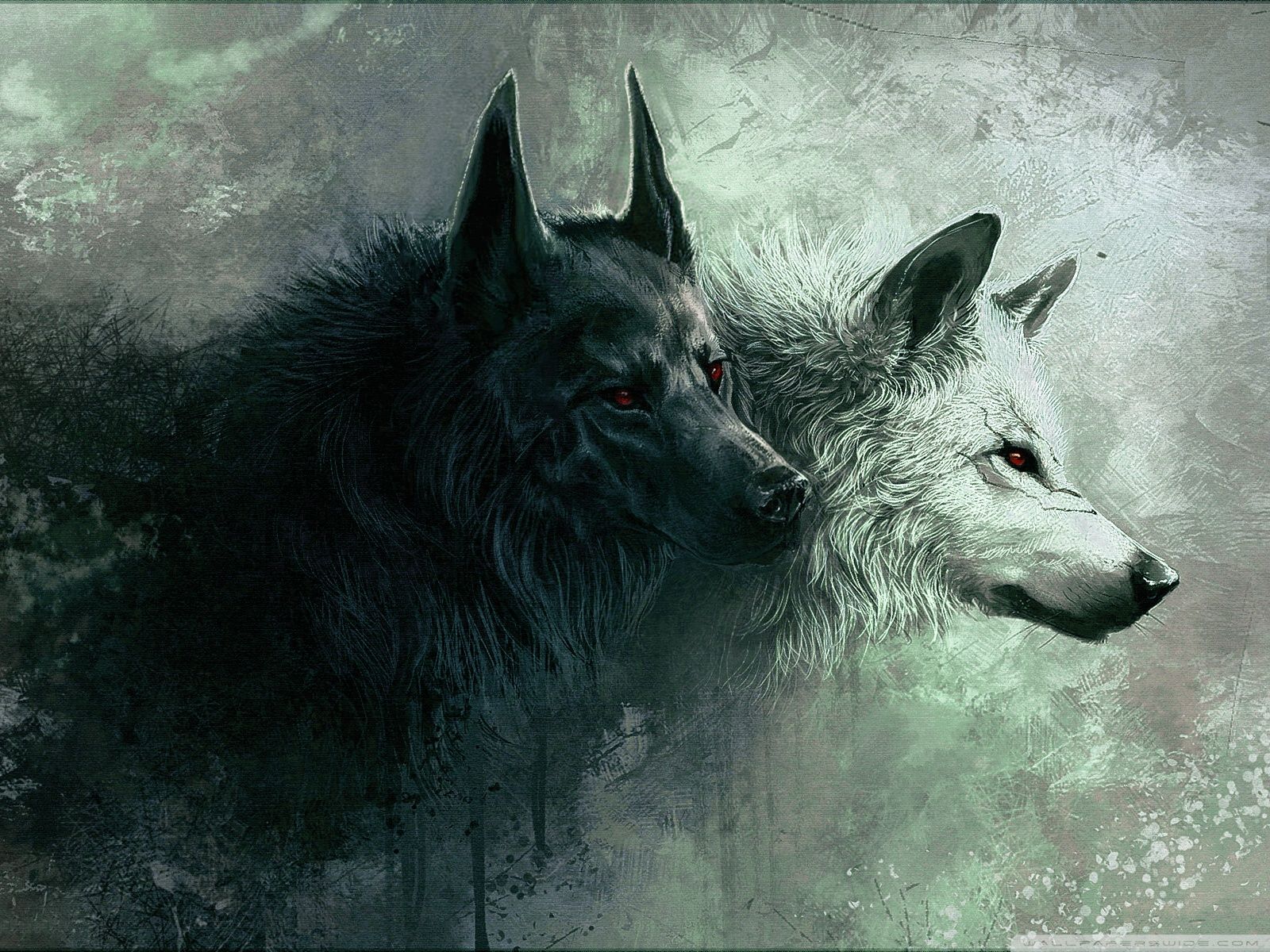 Wallpaper Lone Wolf Wallpapers