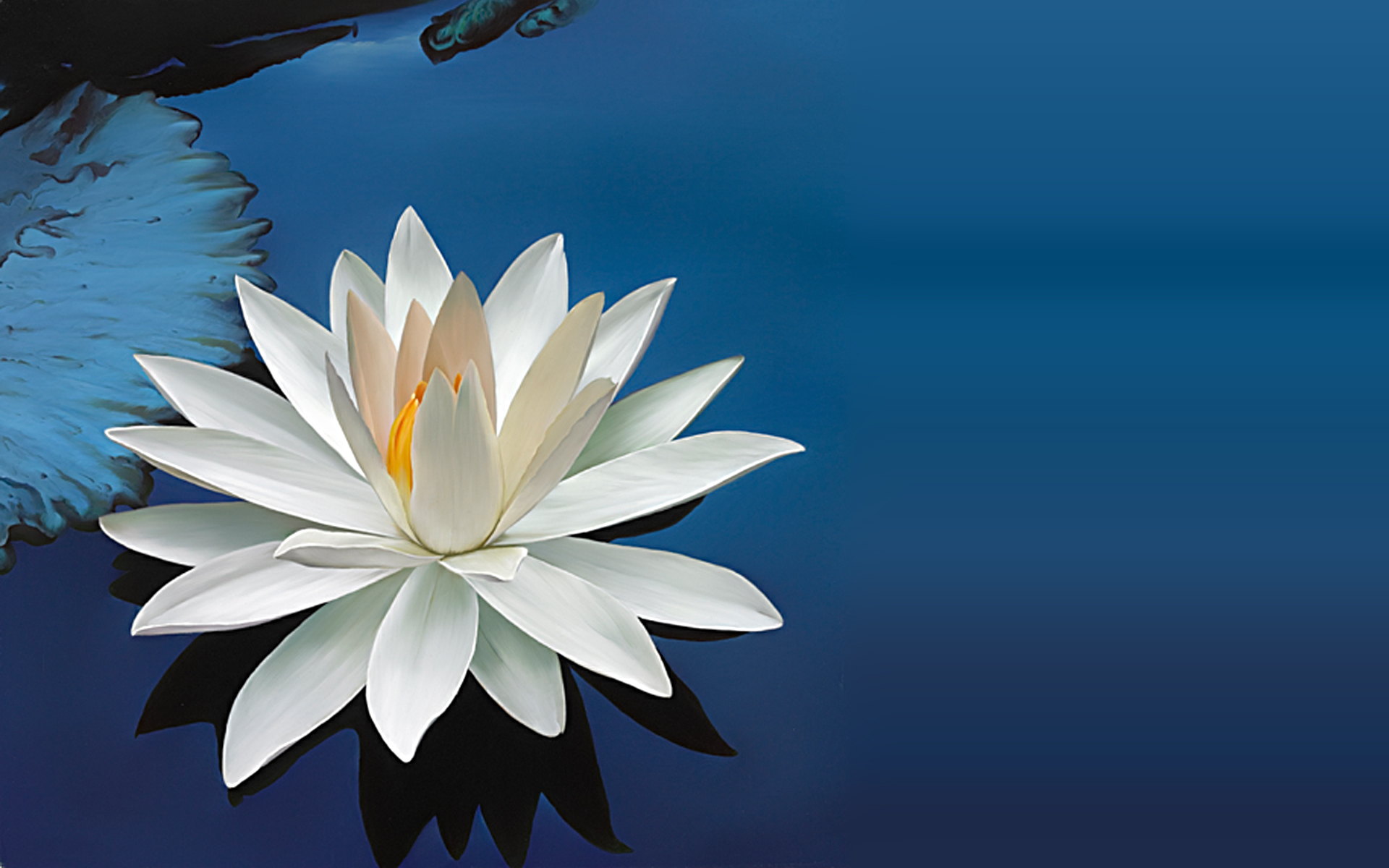 Wallpaper Lotus Flower Wallpapers