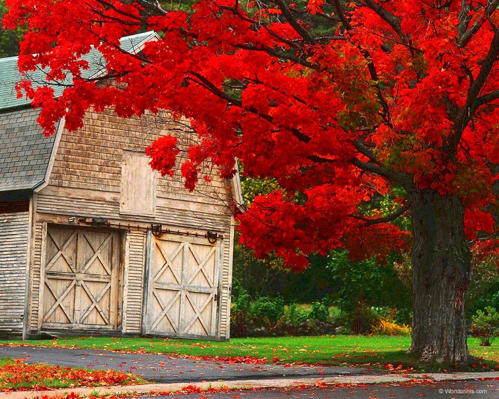 Wallpaper New England Fall Wallpapers