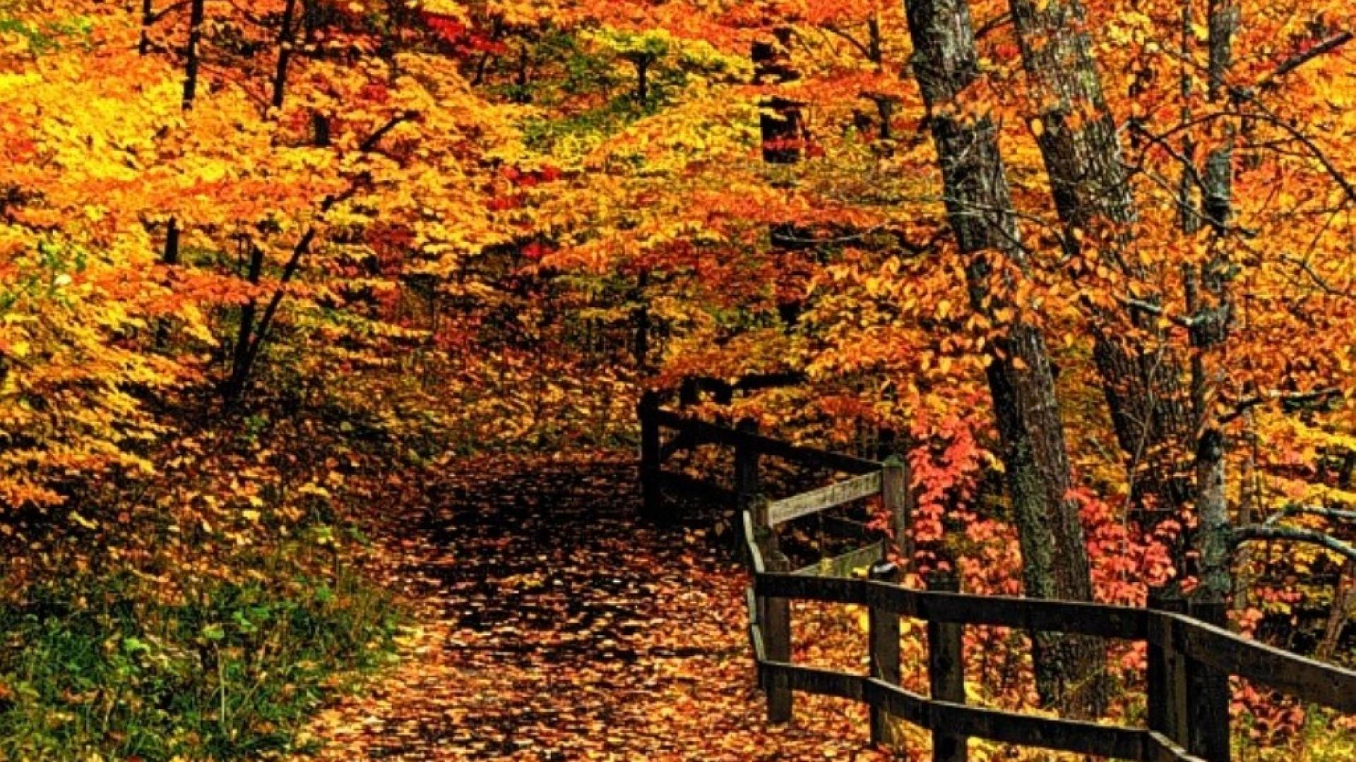 Wallpaper New England Fall Wallpapers