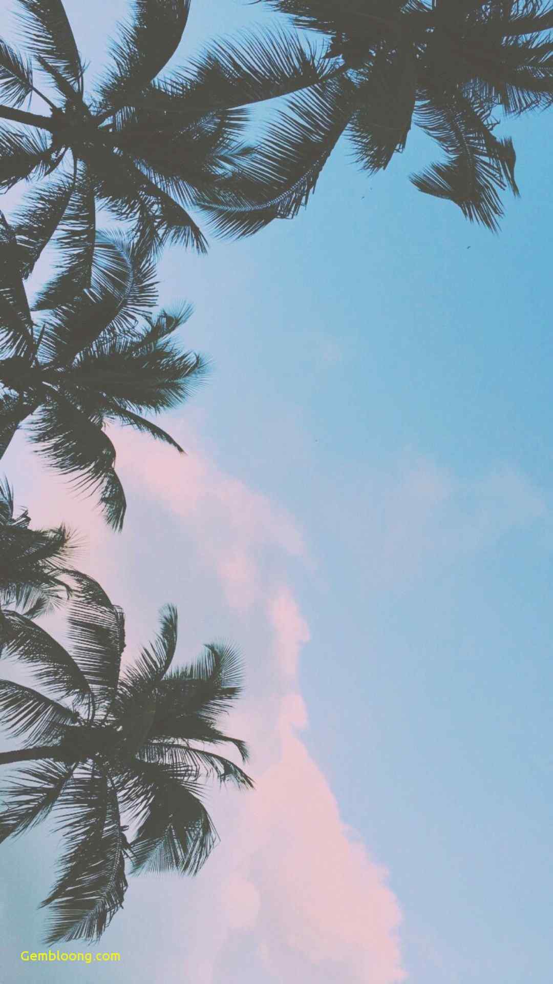 Wallpaper Phone Tumblr Wallpapers