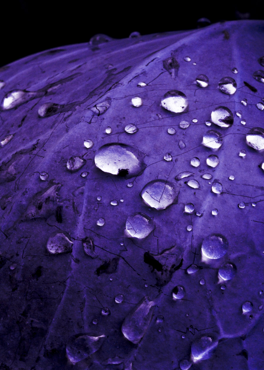 Wallpaper Purple Rain Wallpapers